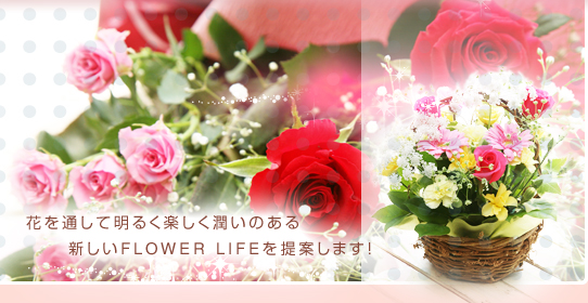 ԂʂĖ邭ŷ@VFLOWER LIFEĂ܂I ԉ t[AWg l