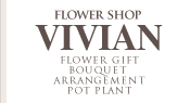 VIVIAN(���B���B�A��) �� ���j�� �t�����[�A�����W�����g
