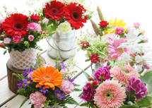 �����y����ł���������������E�E�E �� ���j�� �t�����[�A�����W�����g