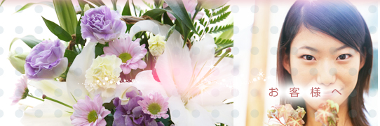 ���q�l�̐� �� ���j�� �t�����[�A�����W�����g