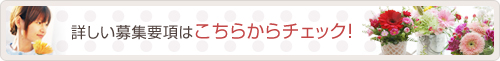 �ڂ�����W�v���͂����炩��`�F�b�N�I �ԉ� ���l �t�����[�A�����W�����g